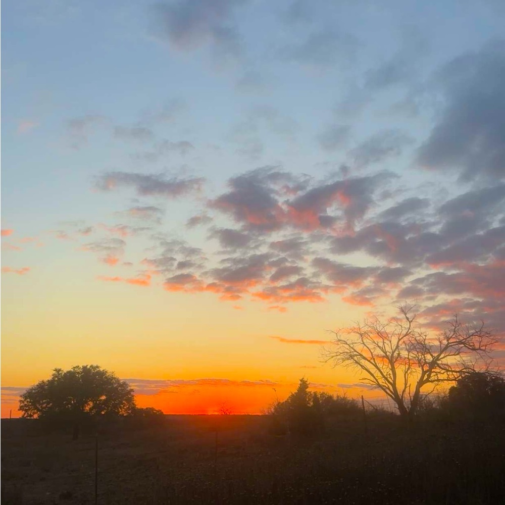 Meet your Posher, Nora